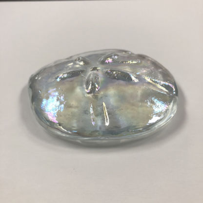 3-D Sand Dollar Clear Irridized - Image 3