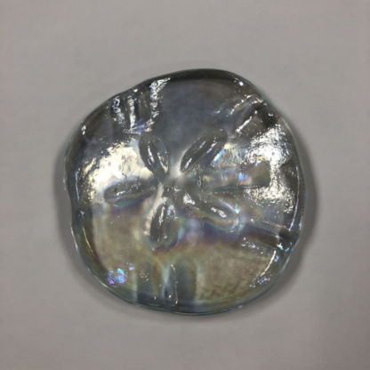 3-D Sand Dollar Clear Irridized