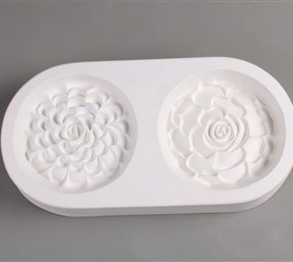 LF171 Two Succulents Mold6