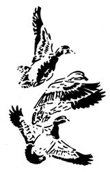 Peel N' Etch Stencil- Three Flying Ducks #1305