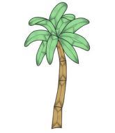 CEC123 Colored Palm Tree Beveled Glass