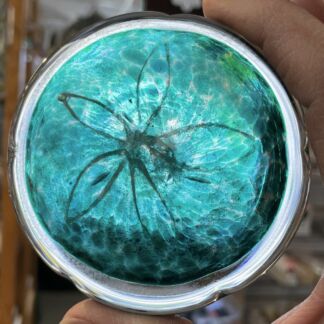 3-D Sand Dollar Glass Rondel -72104T