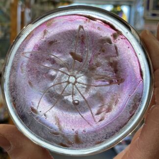 3-D Sand Dollar Glass Rondel -72104P