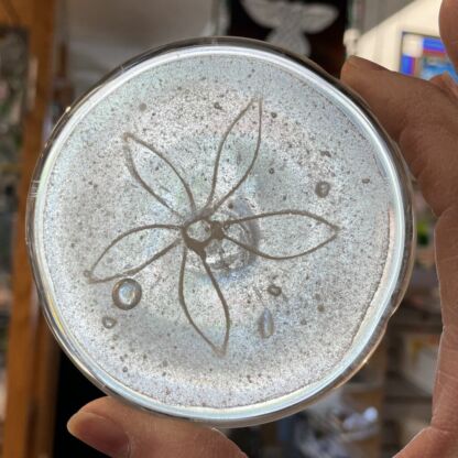 3-D Sand Dollar Glass Rondel -72104W