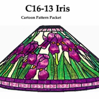 Worden C16-13 Iris Lamp Pattern